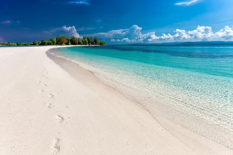Beach Club